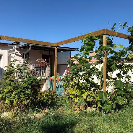 Ubytovani U Jerabku - Parkovani Zdarma Mikulov Luaran gambar