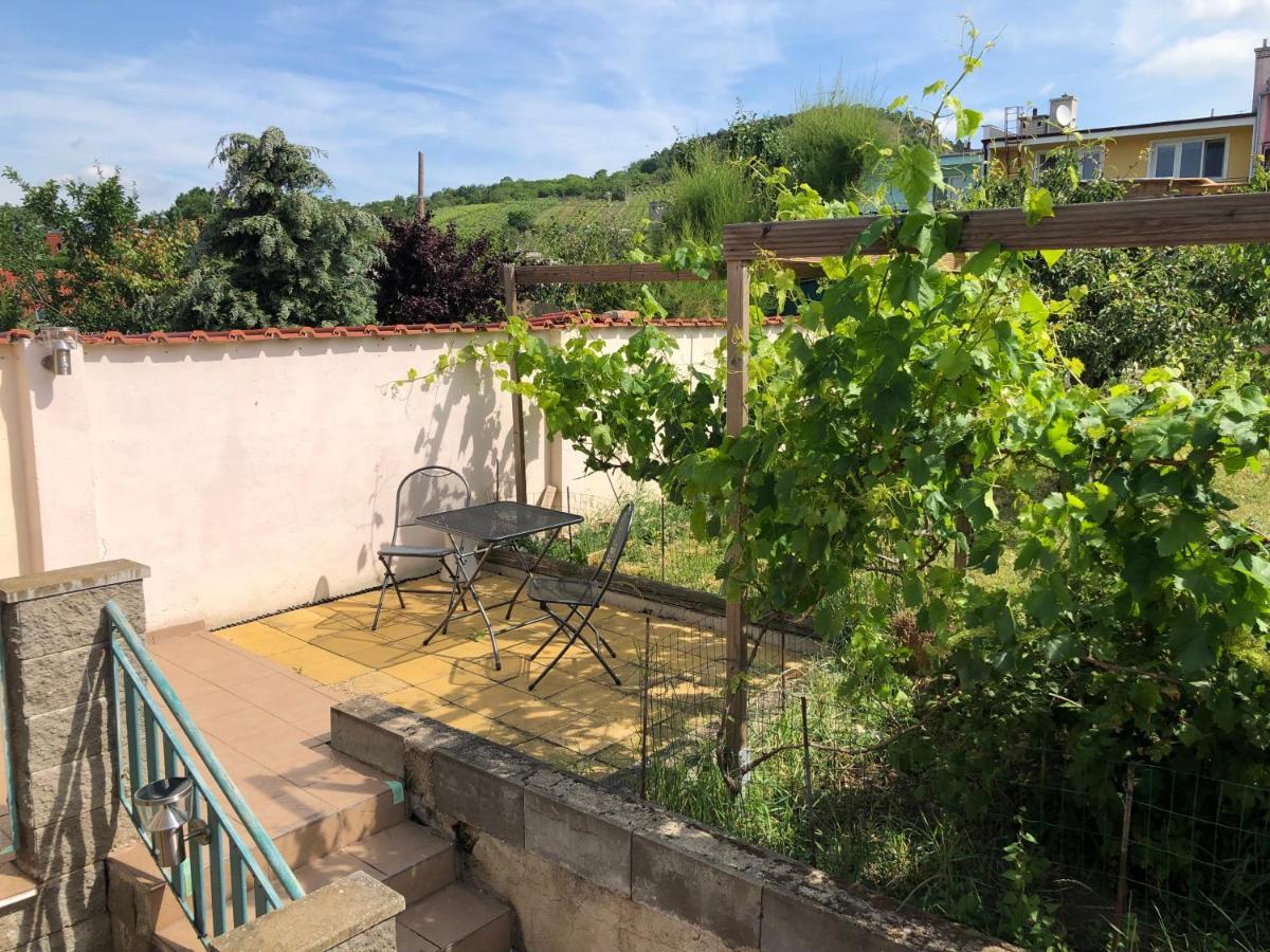 Ubytovani U Jerabku - Parkovani Zdarma Mikulov Luaran gambar
